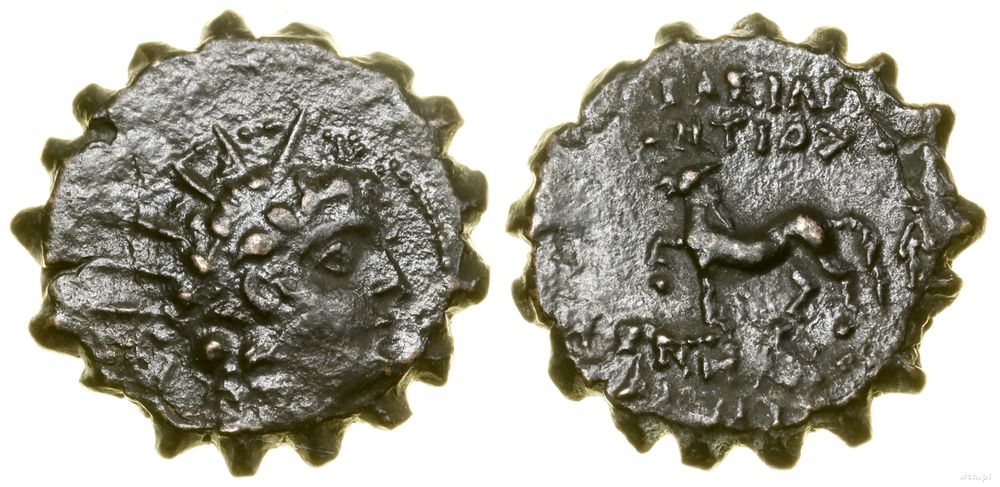 Grecja i posthellenistyczne, brąz serratus