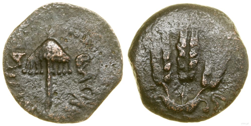 Rzym prowincjonalny, prutah, (42–43 ne)