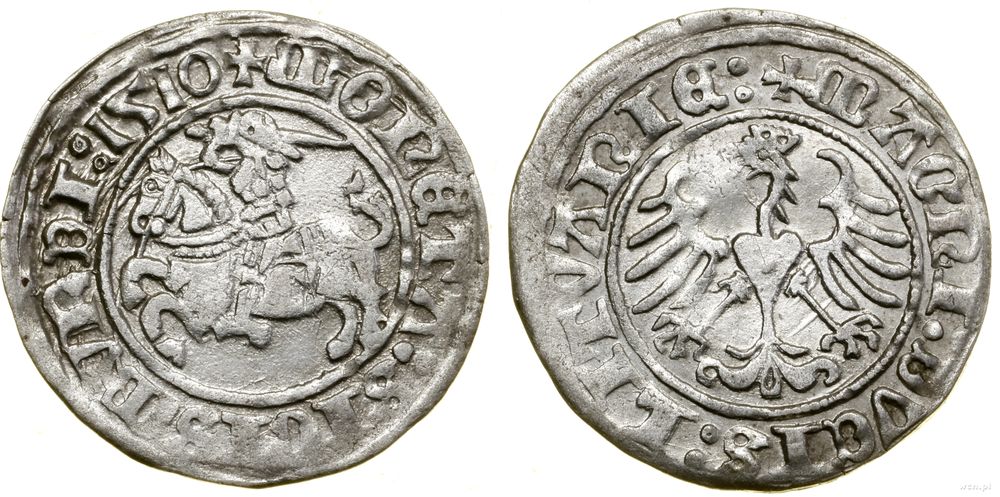Polska, półgrosz, 1510