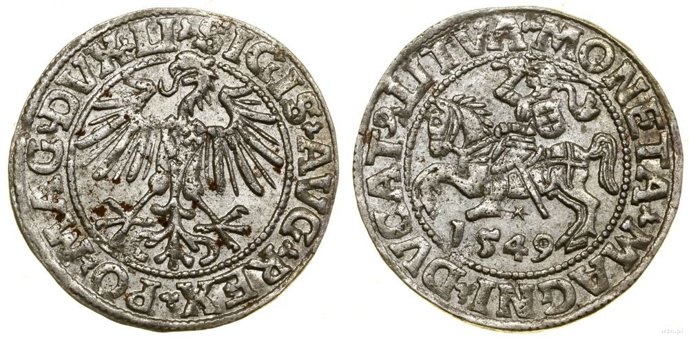 Polska, półgrosz, 1549