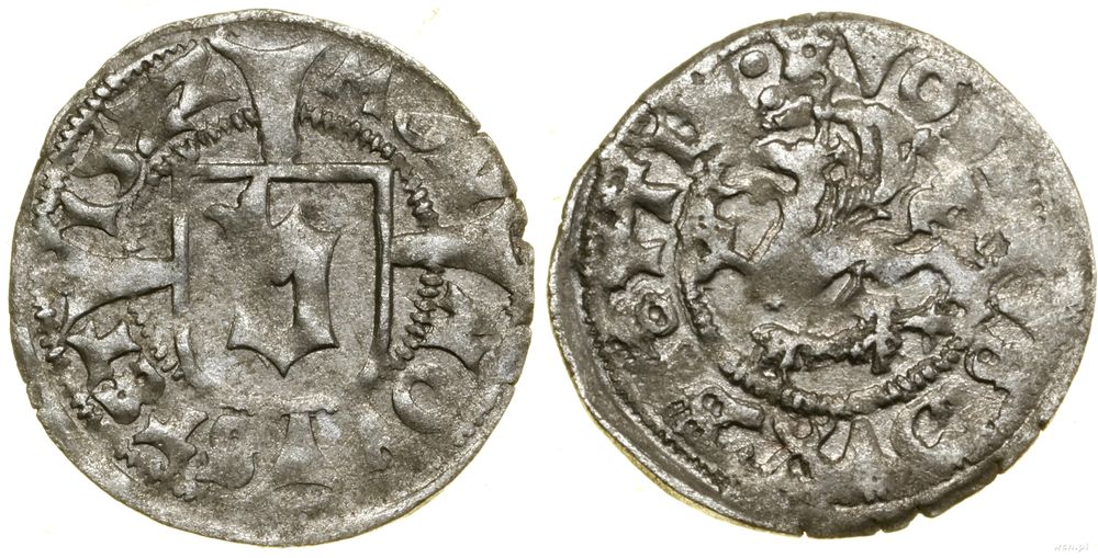 Pomorze, witten, 1522