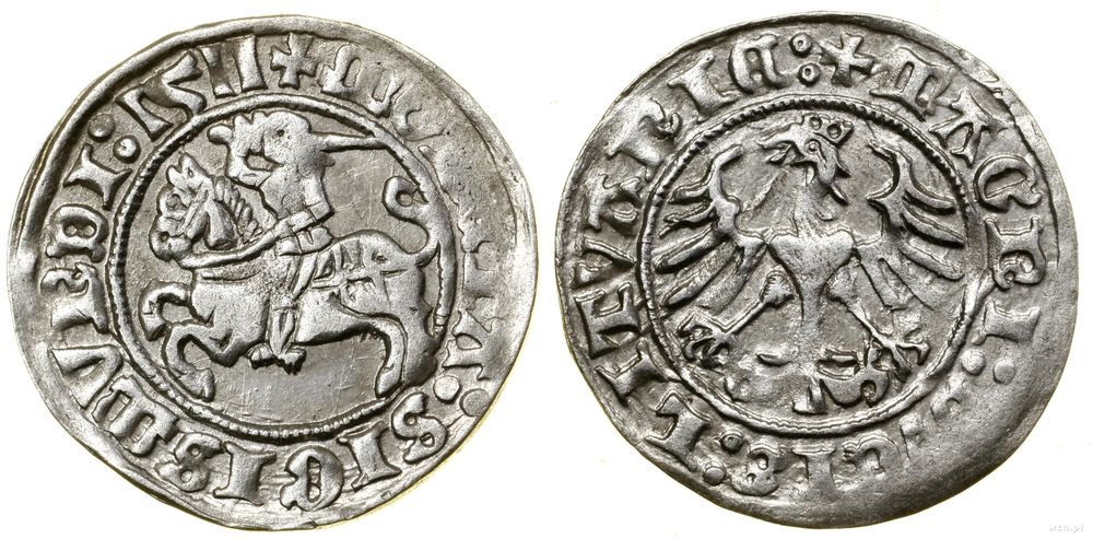 Polska, półgrosz, 1511