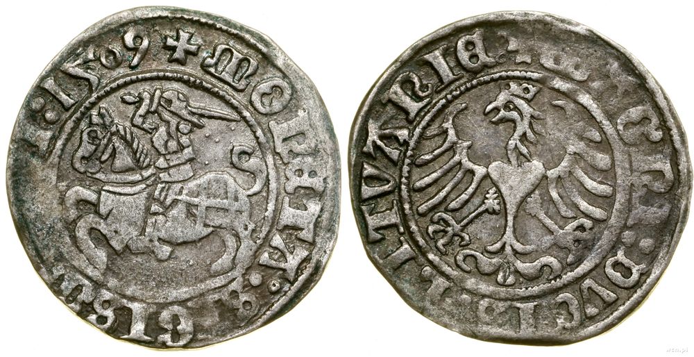 Polska, półgrosz, 1509