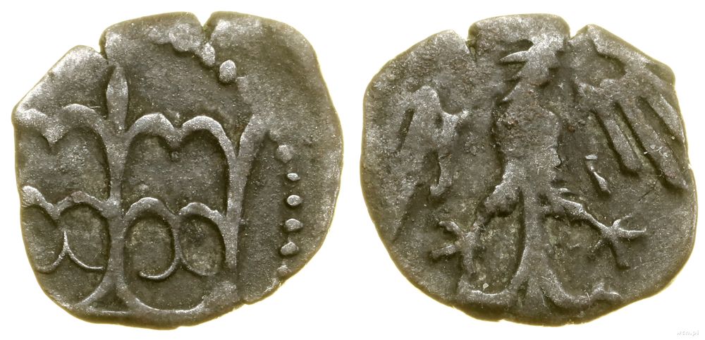 Polska, denar koronny, bez daty