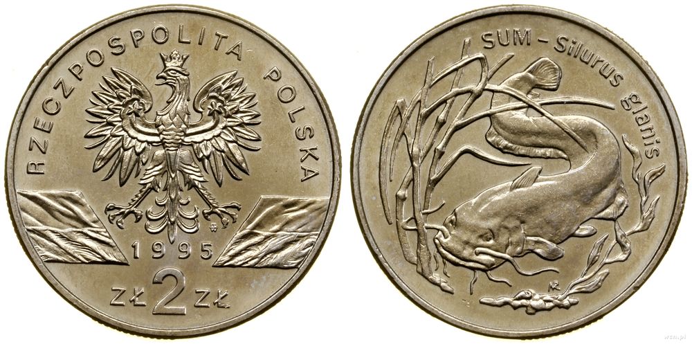 Polska, 2 złote, 1995