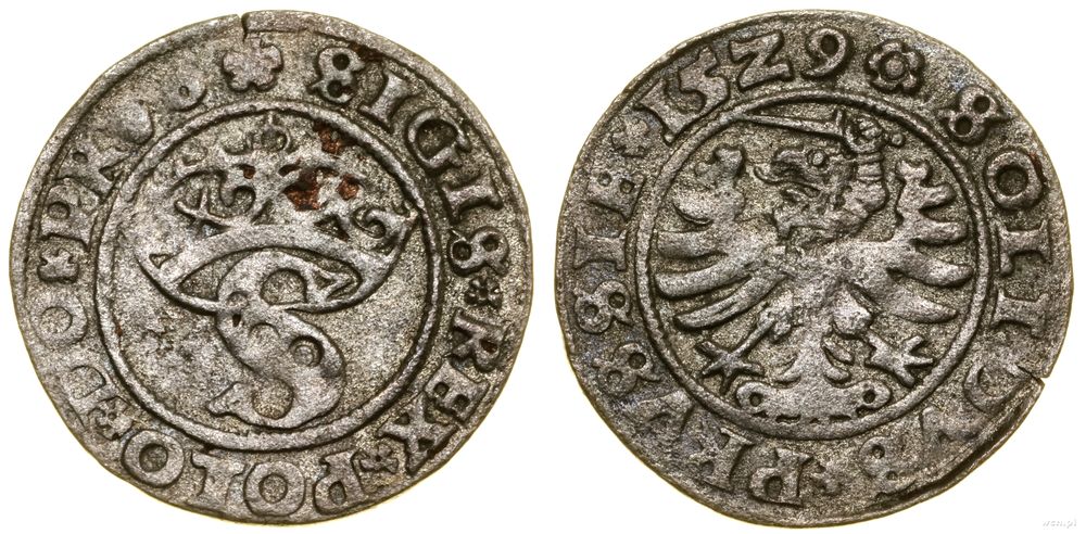 Polska, szeląg, 1529