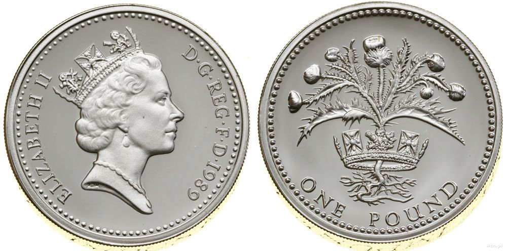 Wielka Brytania, 1 funt (piefort), 1989