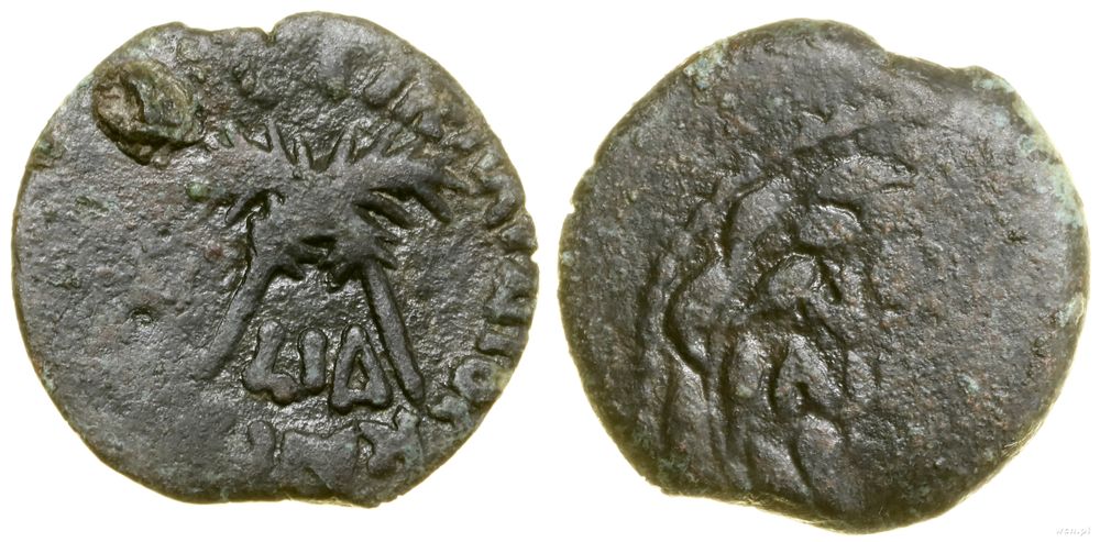 Rzym prowincjonalny, prutah, (54 ne)