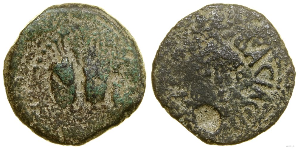 Rzym prowincjonalny, prutah