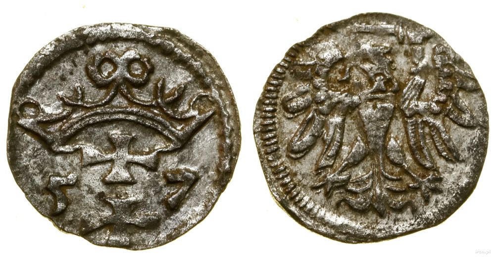 Polska, denar, 1557