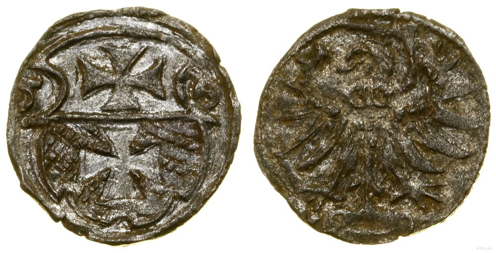 Polska, denar, 1556
