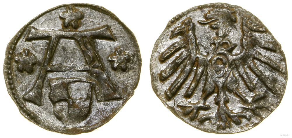 Prusy Książęce (1525–1657), denar, bez daty