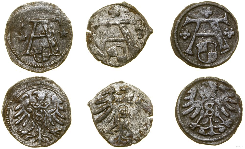 Prusy Książęce (1525–1657), zestaw 3 x denar, bez daty, bez daty, 1563