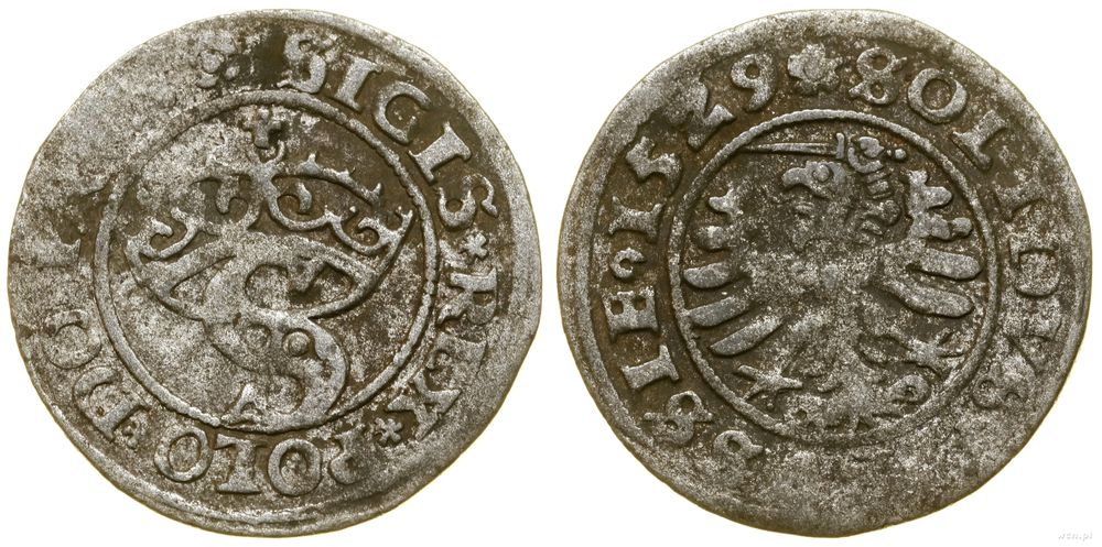 Polska, szeląg, 1529