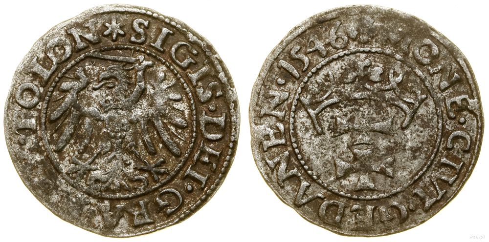 Polska, szeląg, 1546