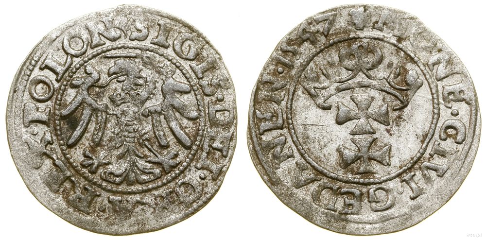 Polska, szeląg, 1547