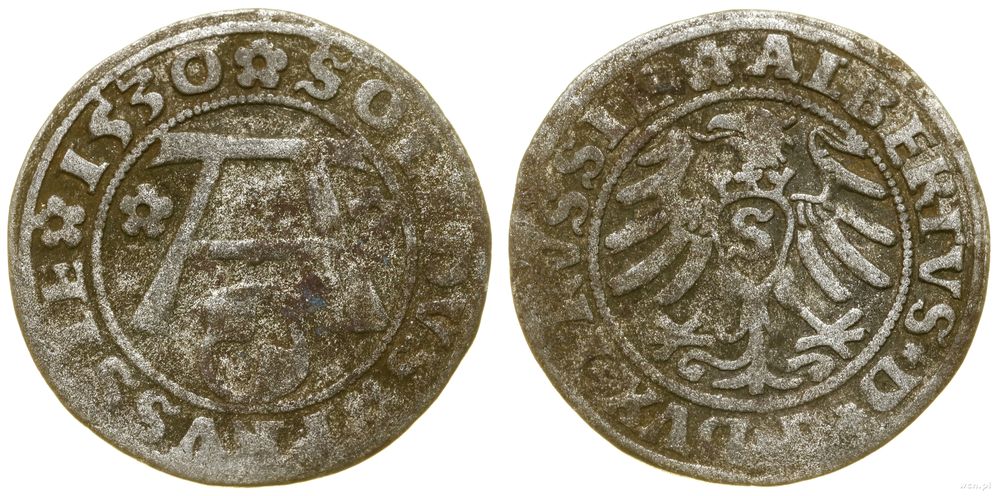 Prusy Książęce (1525–1657), szeląg, 1530