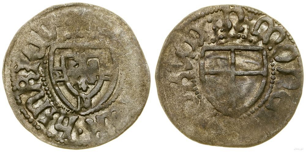 Zakon Krzyżacki, szeląg