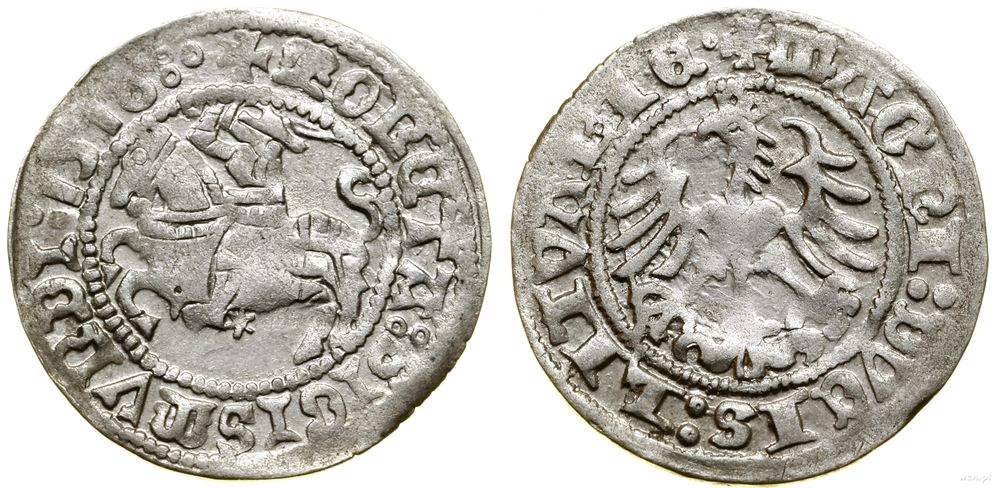 Polska, półgrosz, 1518