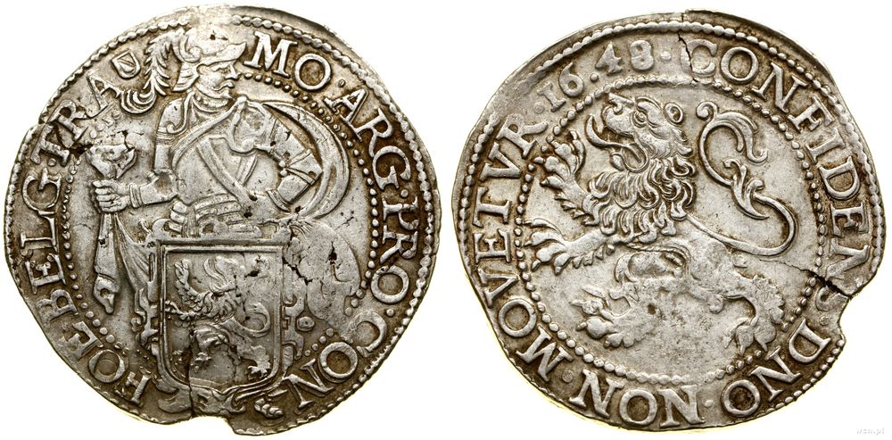 Niderlandy, talar lewkowy (Leeuwendaalder), 1648