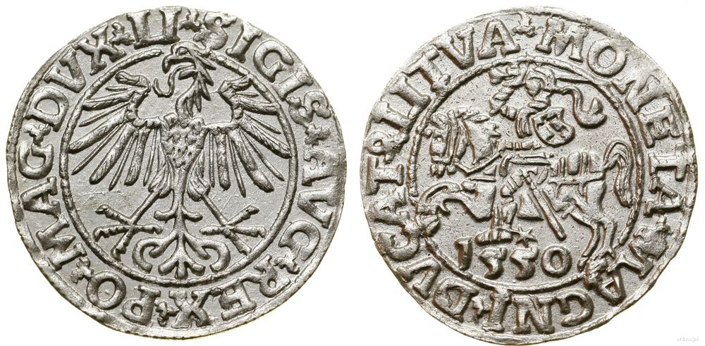 Polska, półgrosz, 1550
