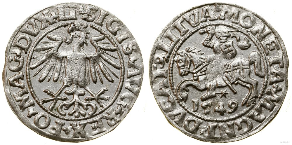Polska, półgrosz, 1549