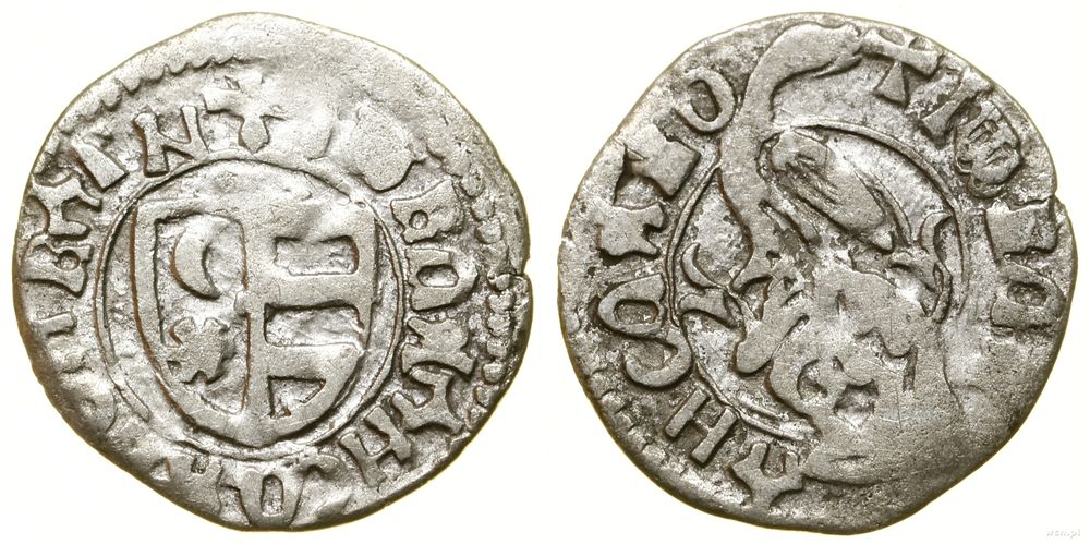 Hospodarstwo Wołoskie, dinar