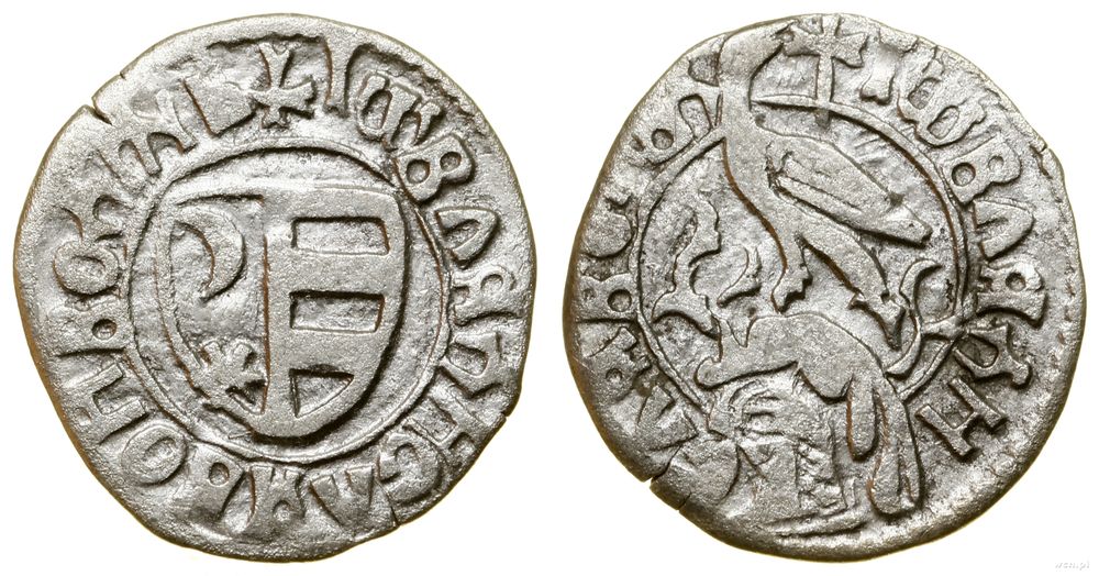 Hospodarstwo Wołoskie, dinar