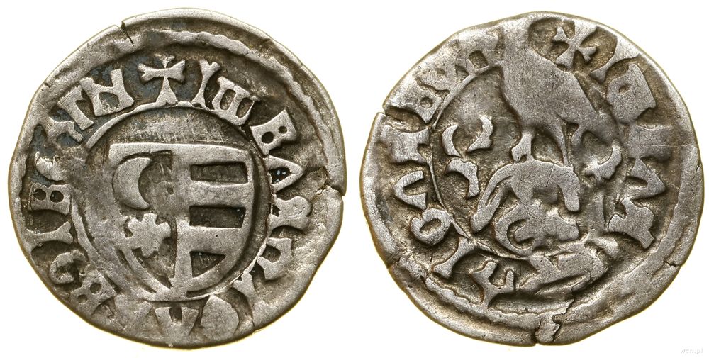 Hospodarstwo Wołoskie, dinar