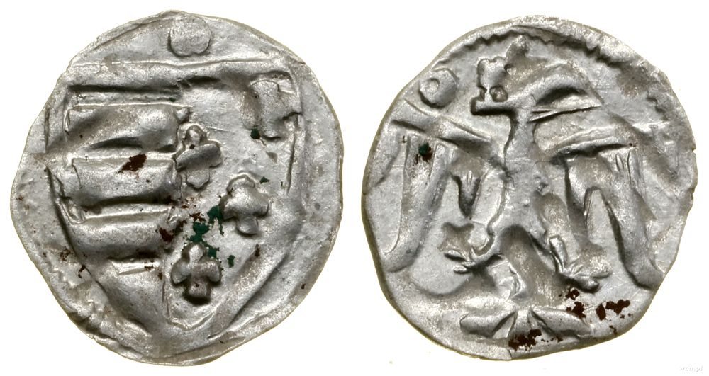 Polska, denar, bez daty (1370–1382)