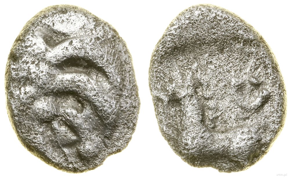 Celtowie, kwinar (Büschelquinar typu Manching), (ok. I w. pne)