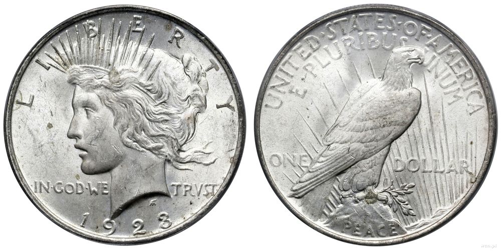 Stany Zjednoczone Ameryki (USA), 1 dolar, 1923