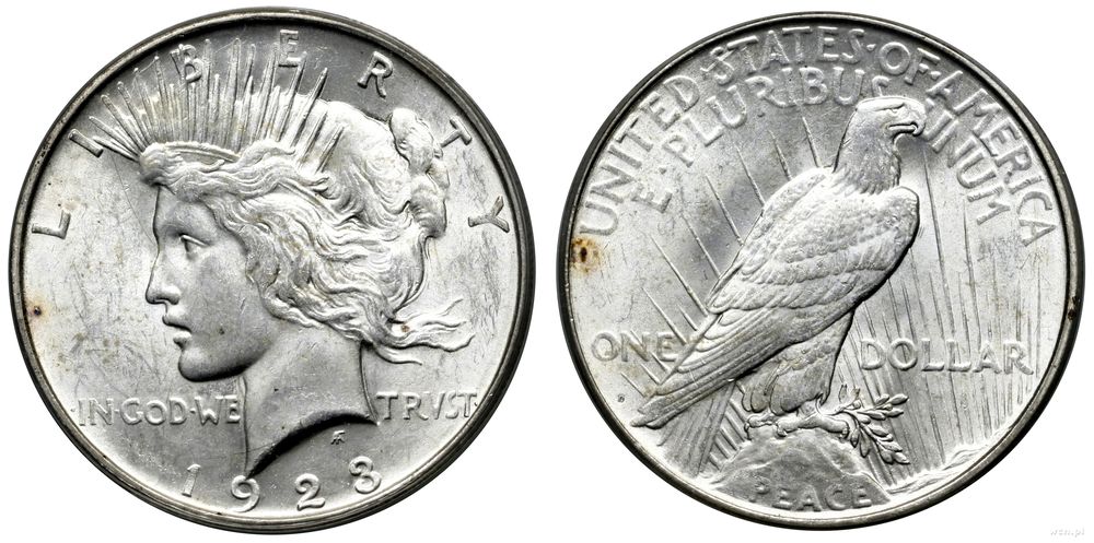 Stany Zjednoczone Ameryki (USA), 1 dolar, 1923 D