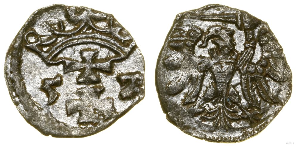 Polska, denar, 1557