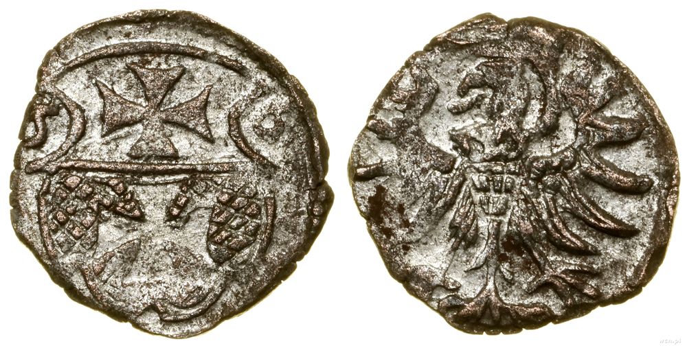 Polska, denar, 1556