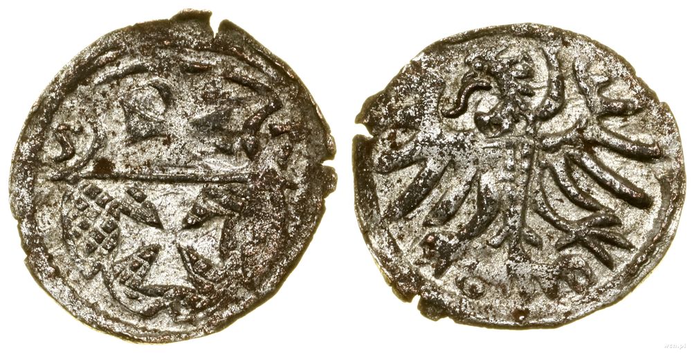 Polska, denar, 1557