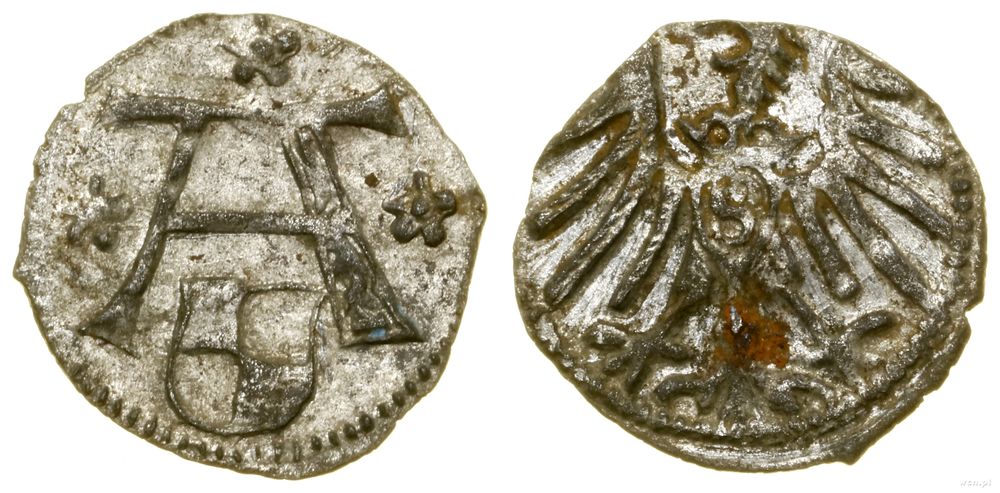 Prusy Książęce (1525–1657), denar, bez daty