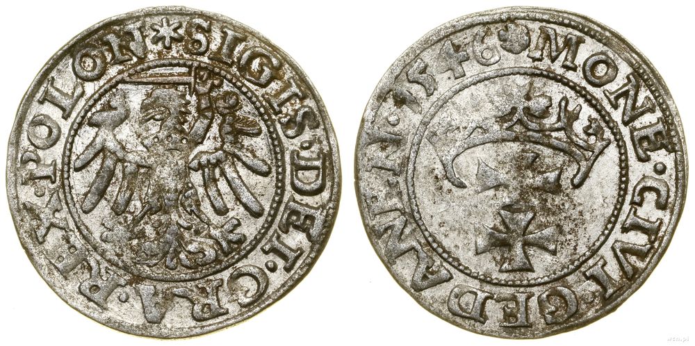 Polska, szeląg, 1546