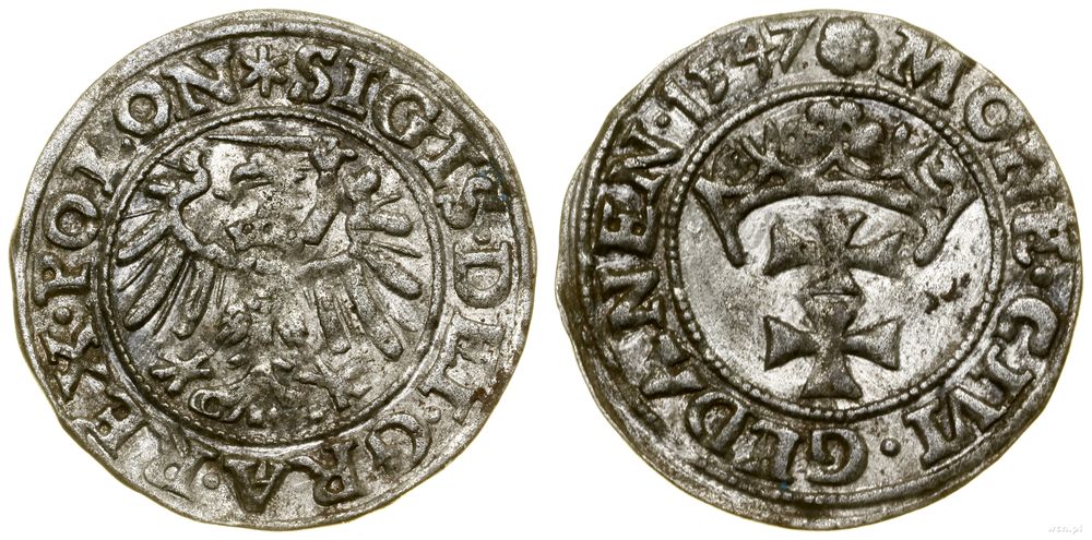 Polska, szeląg, 1547