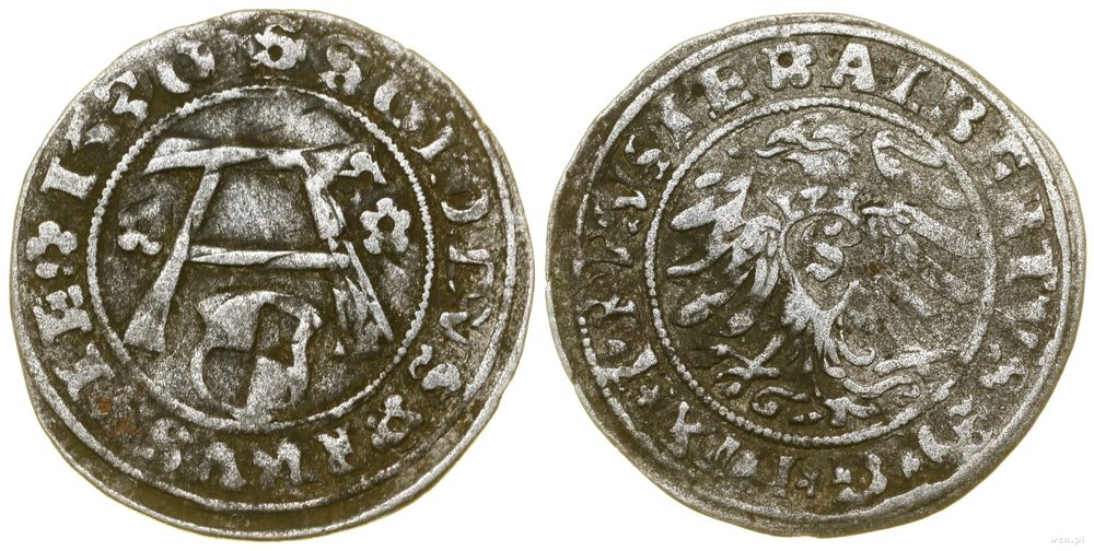 Prusy Książęce (1525–1657), szeląg, 1530