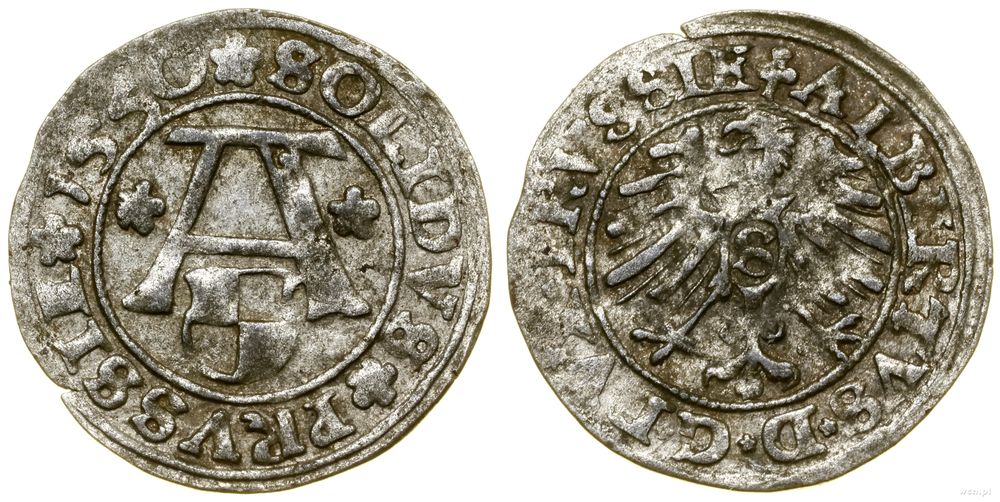 Prusy Książęce (1525–1657), szeląg, 1550