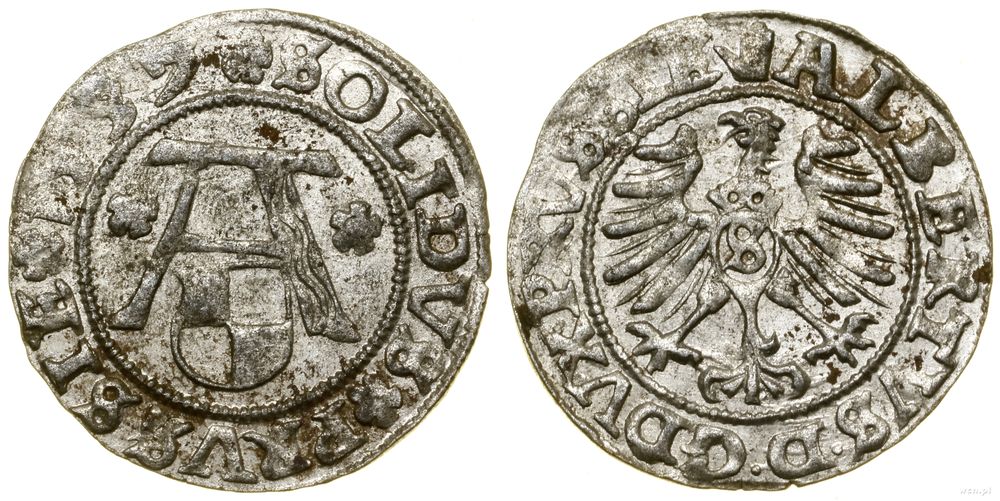 Prusy Książęce (1525–1657), szeląg, 1557