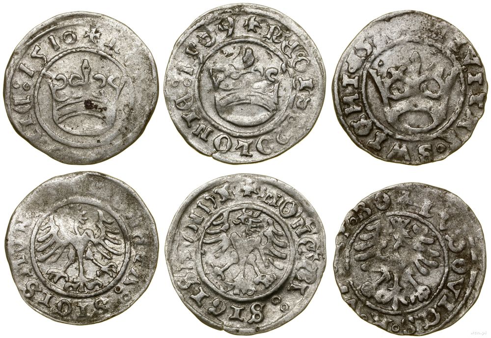 Polska, zestaw 3 x półgrosz, 1526