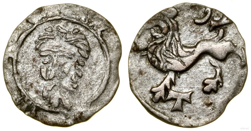 Śląsk, halerz, ok. 1430–1448