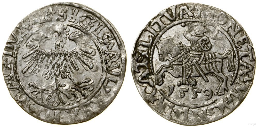 Polska, półgrosz, 1559