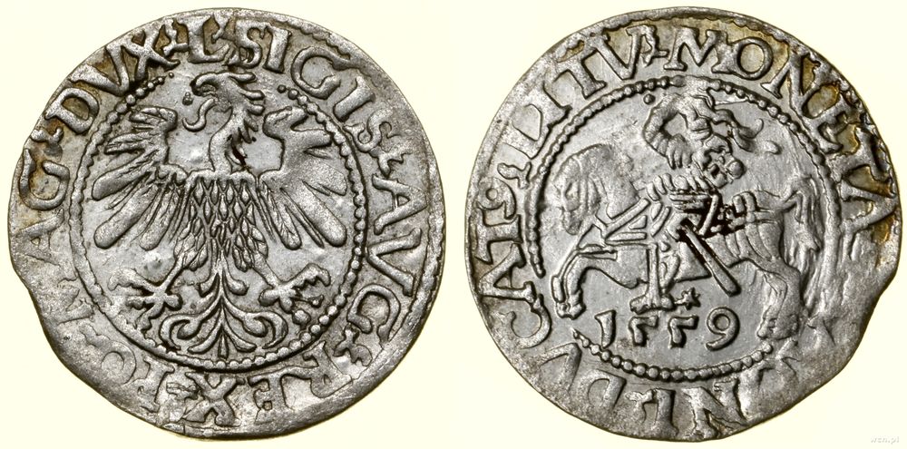 Polska, półgrosz, 1559