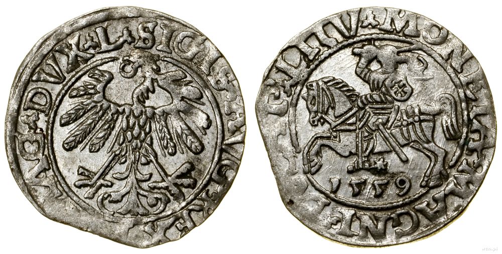 Polska, półgrosz, 1559