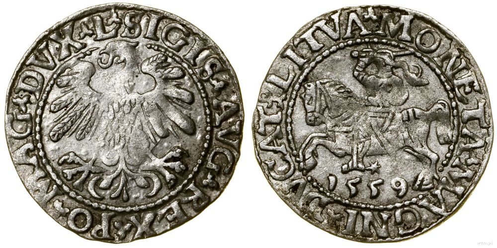 Polska, półgrosz, 1559
