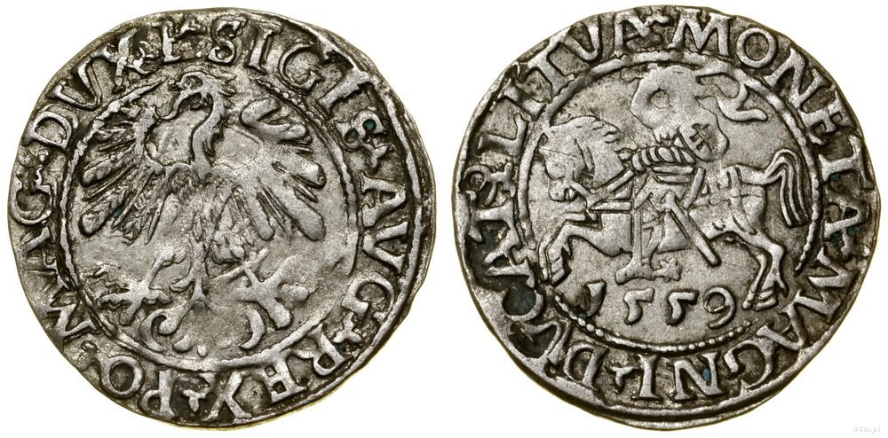 Polska, półgrosz, 1559