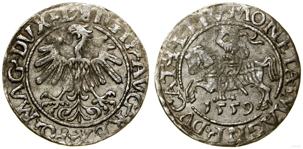 Polska, półgrosz, 1559